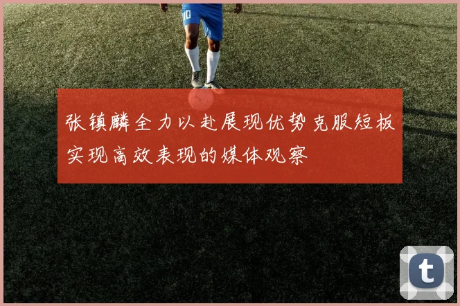 张镇麟全力以赴展现优势克服短板实现高效表现的媒体观察